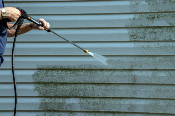 Best Roof Pressure Washing  in Du Quoin, IL